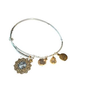 alex and ani Gold and Silver aries Charm Bangle Bracelet